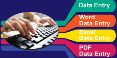 I'll perform data input, web scraping, Excel work, typing, and copy-and-paste tasks